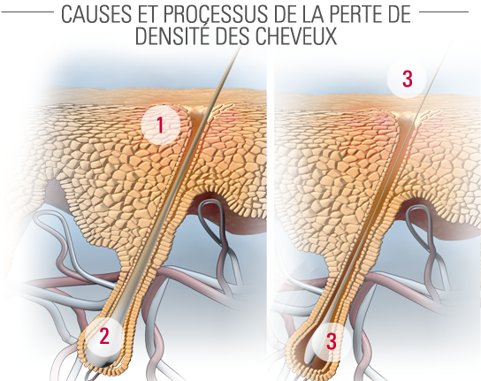 Si on peut ajouter aux colorations pour cheveux lhuile